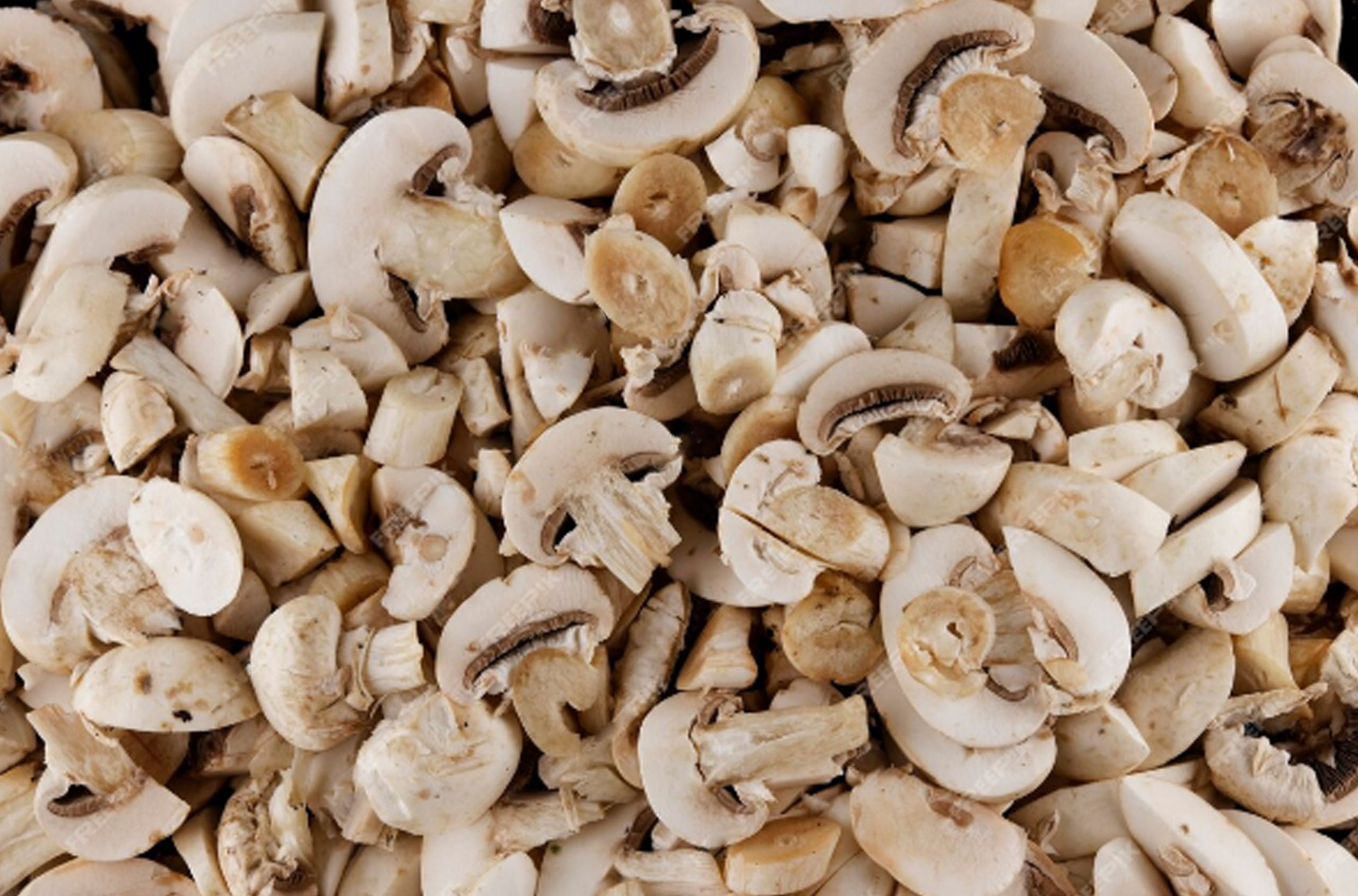 Champignons séchés