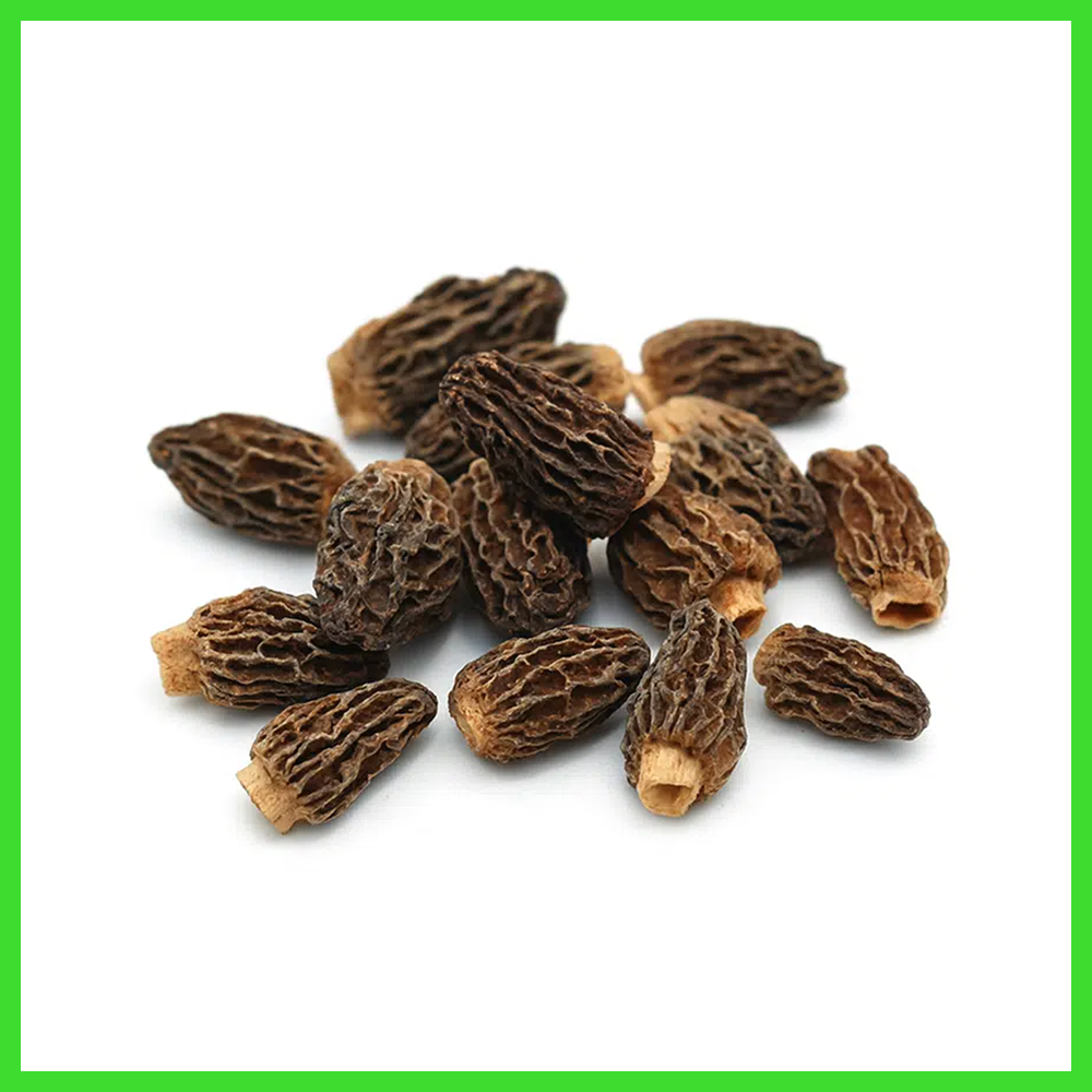 Morilles Spéciales